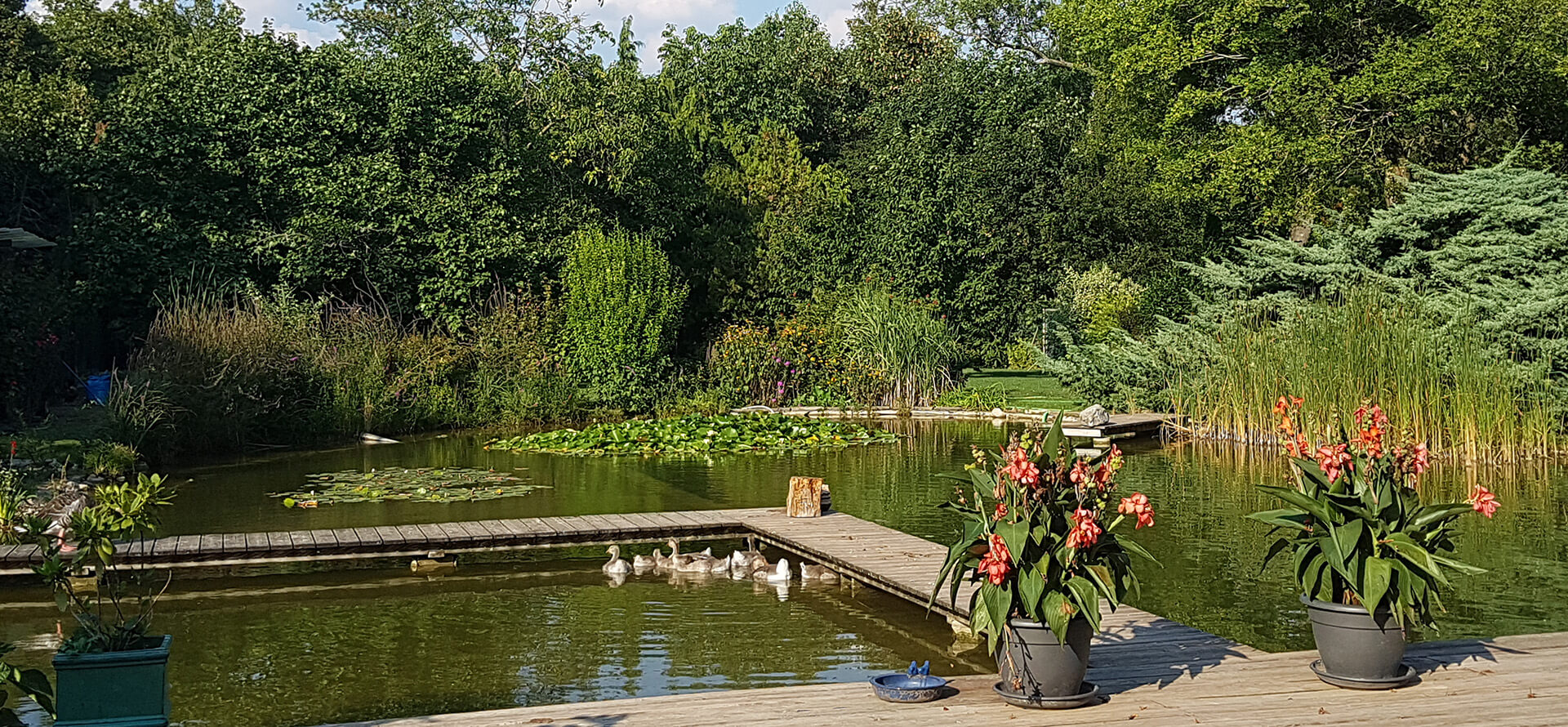 Hundebetreuung Blumau - slider 1